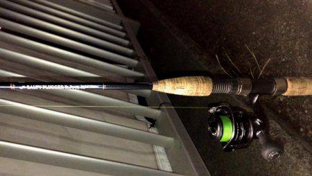 西宮跳ね橋　高速バチ　セイゴ